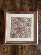 Ann Dainton Blütenblätter