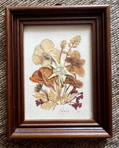 Bild trockenblumen - -, cm